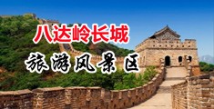 91蛋叔奥迪中国北京-八达岭长城旅游风景区